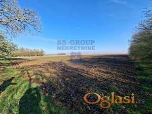 Kuća sa ogromnim placom 24568m2.